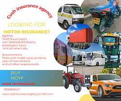 Motor Insurance