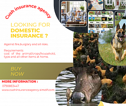 Domestic Insurance