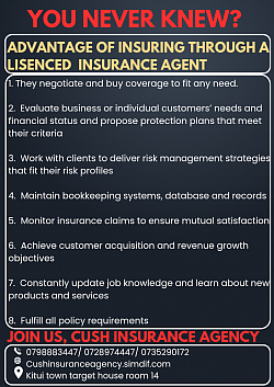 Importance of an insurance Agent.