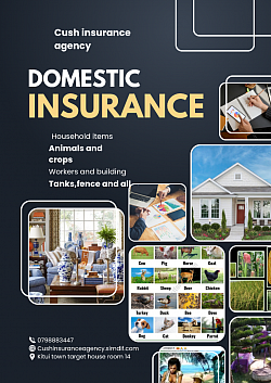 Domestic insurance