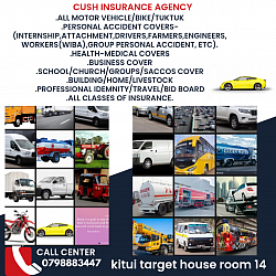 Our services