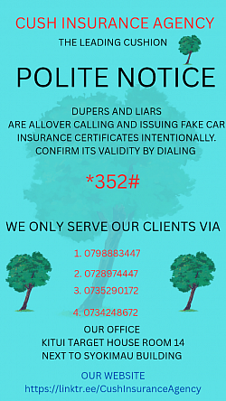 Our services