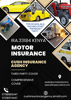 Motor insurance