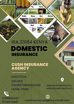 Domestic insurance