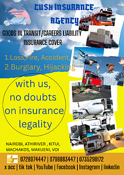 Goods in transit